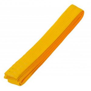 Taekwando Belts